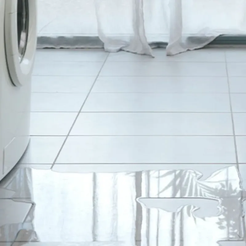 Appliance Leak Cleanup in Ashland, OH