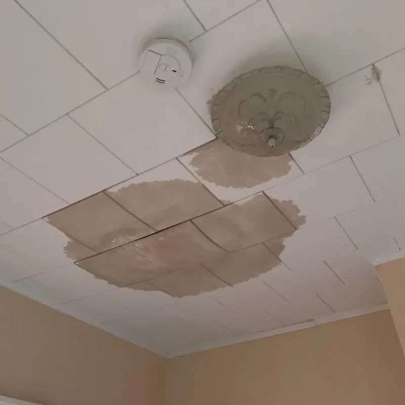 Ceiling Water Damage Repair in Ashland, OH