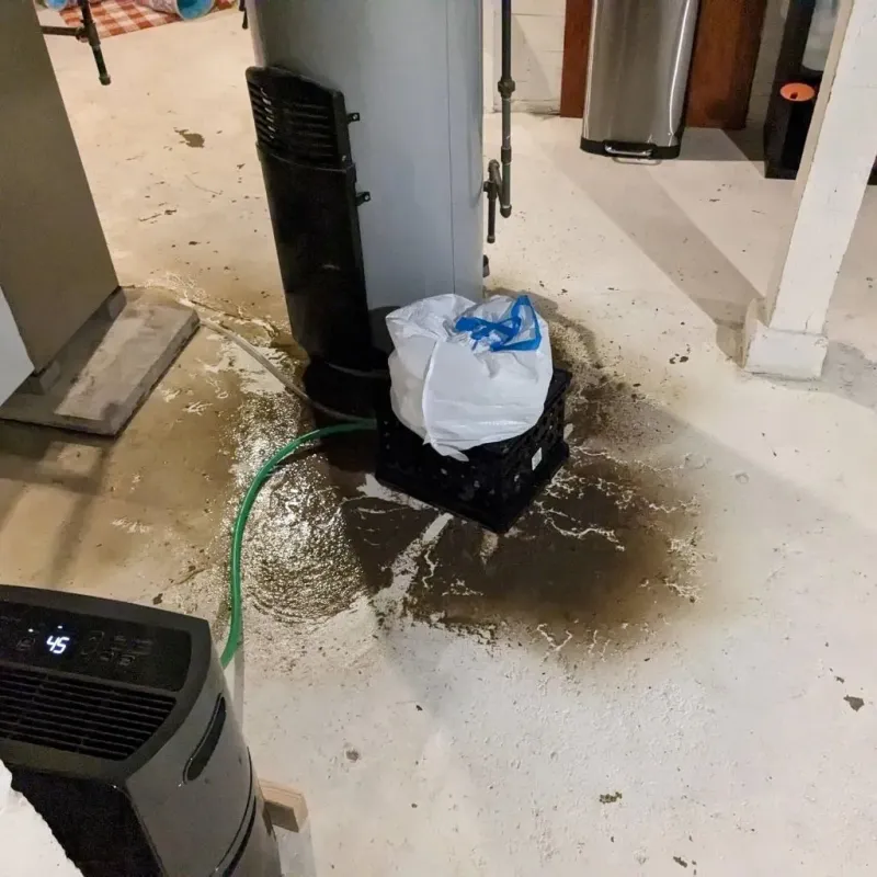 Sewage Backup Cleanup Service in Ashland, OH